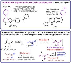 Achieving Cross-Coupling Reactions of Fatty Amide Reduction Radicals via Iridium-Photorelay Catalysis and Other Strategies