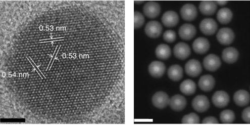 Electron Microscope Images: Nanoparticles Developed at Berkeley Lab