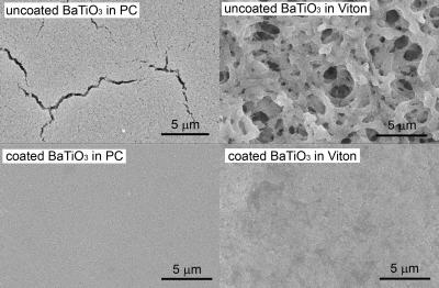 SEM Image of Materials