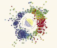 Molecule Network Map Typical of Systems Biology