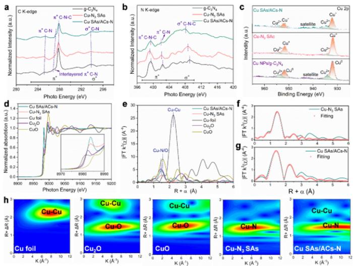 New Strategy Enhances Green Urea Synthesis Efficiency
