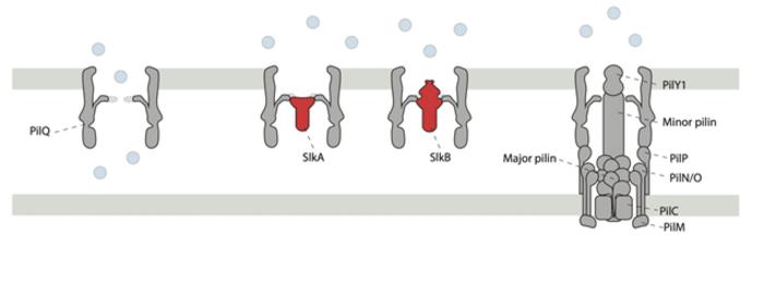 Figure1