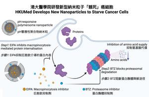 pH-responsive polymeric nanoparticles