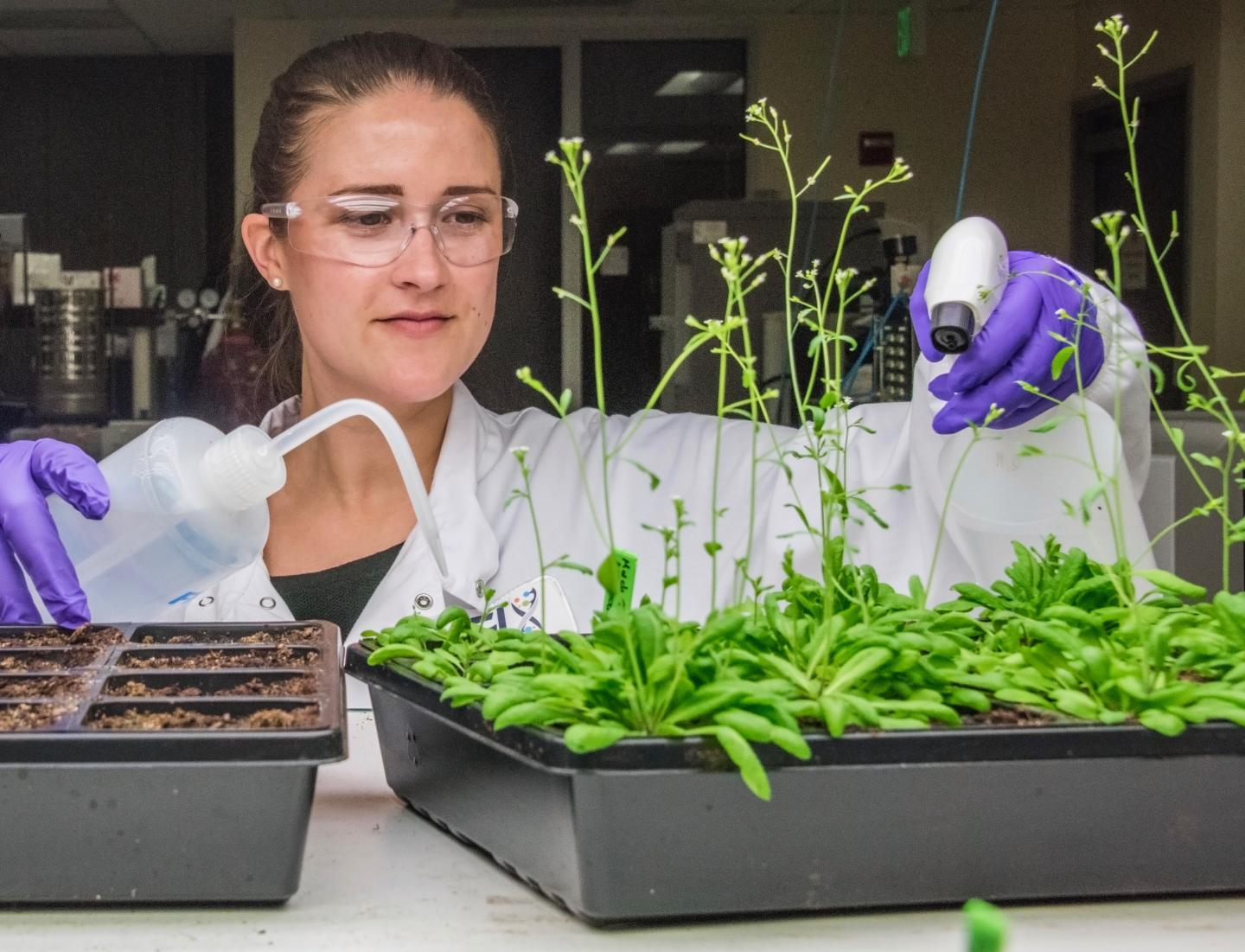 Researcher Christine Shulse
