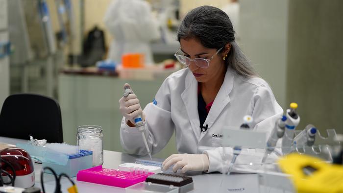 Imunotera: therapeutic vaccine for diseases caused by HPV