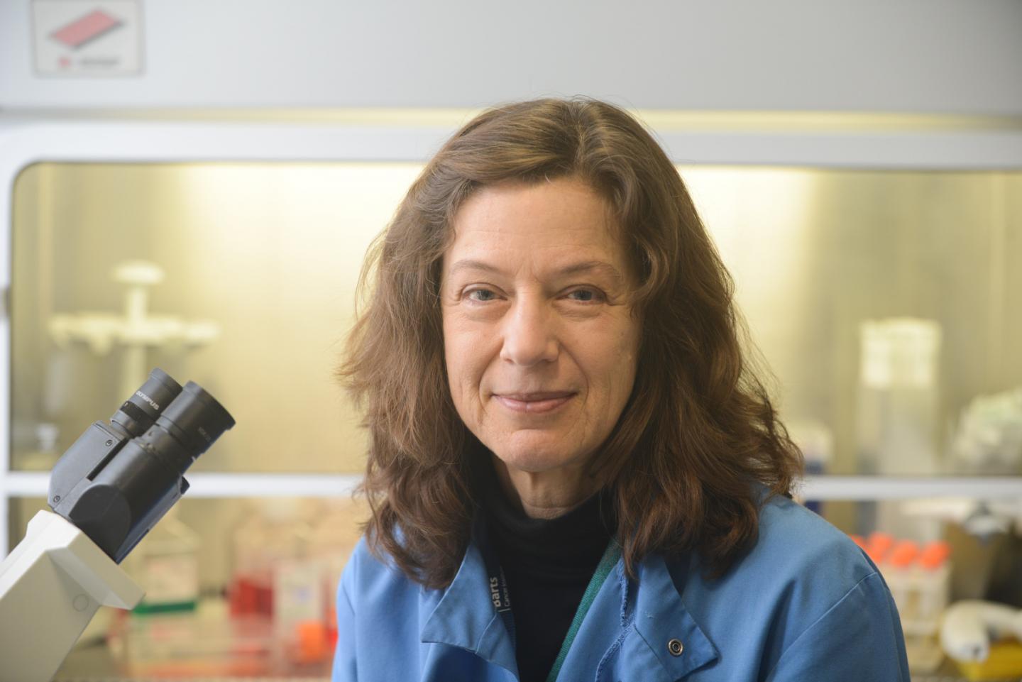 Dr. Gunnel Hallden, Barts Cancer Institute, QMUL