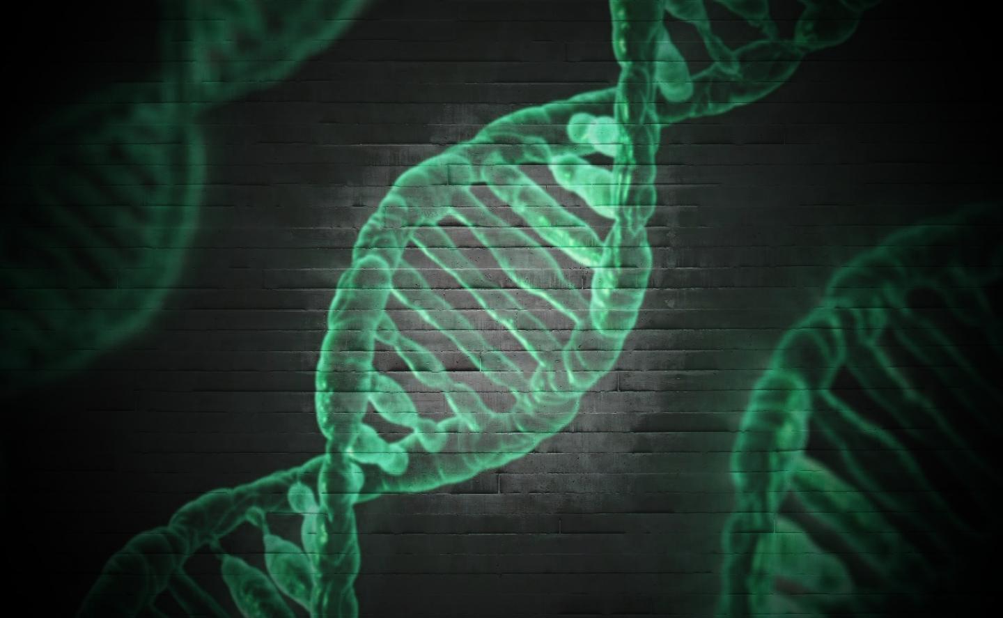 DNA Projection