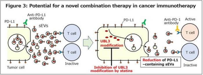 Statin-based enhancement of cancer immunotherapy through reduced PD-L1-containing sEVs