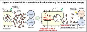 Statin-based enhancement of cancer immunotherapy through reduced PD-L1-containing sEVs