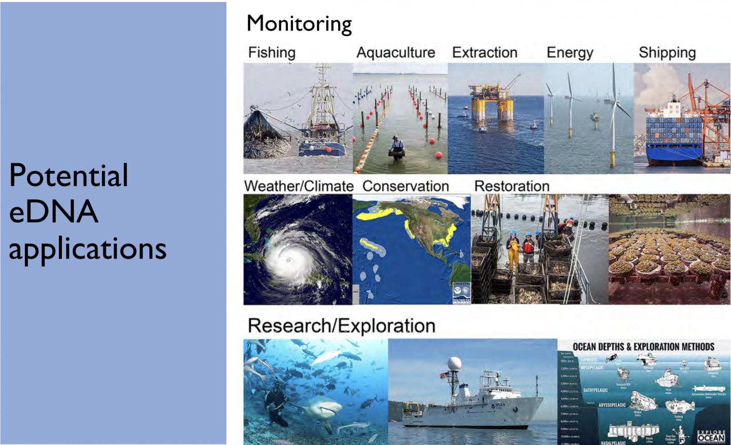 Environmental DNA -- Potential Uses