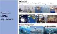 Environmental DNA -- Potential Uses