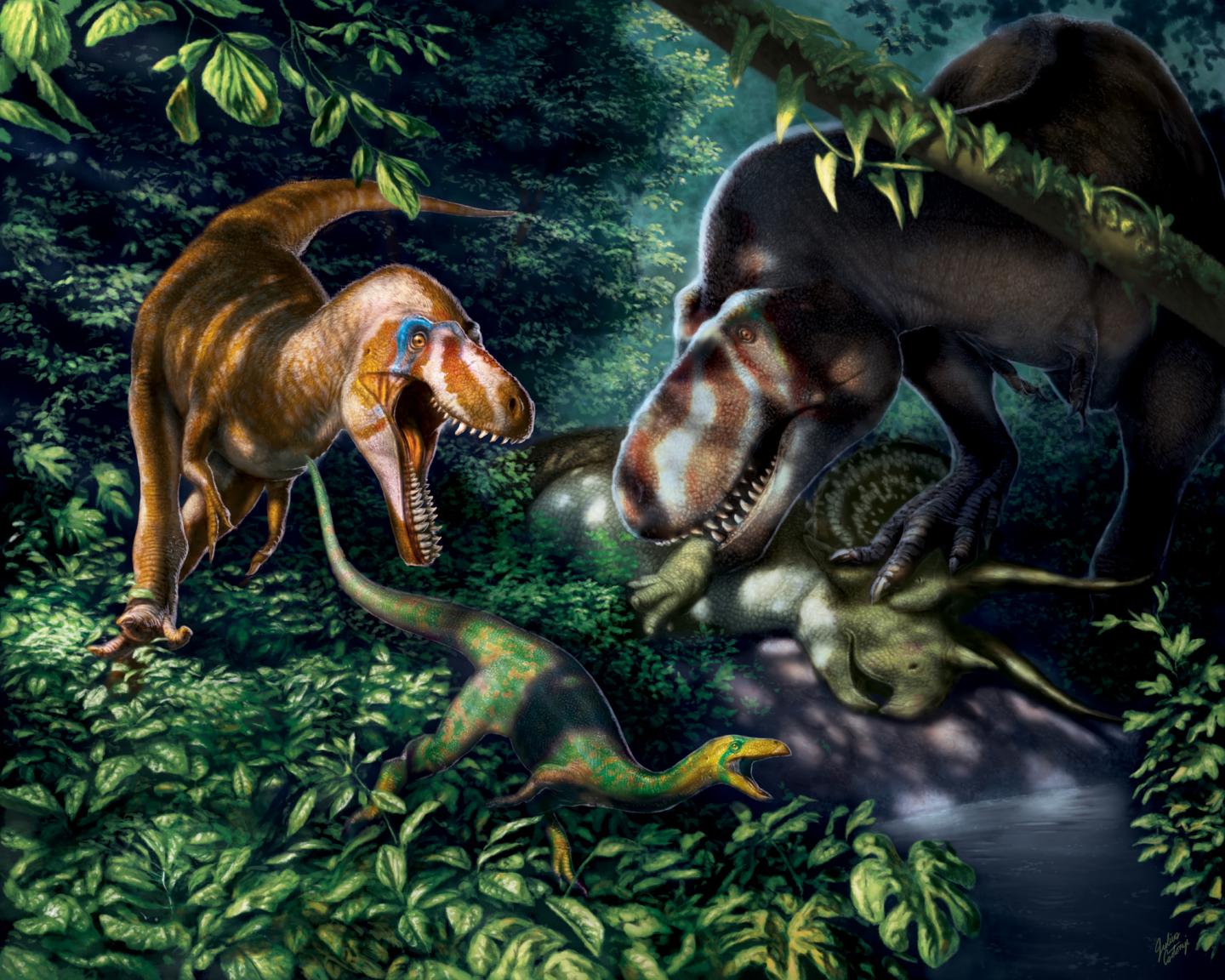 Bone Analysis Suggests Small T. Rexes Were Not a Separate Genus; They Were Kids (4 of 5)