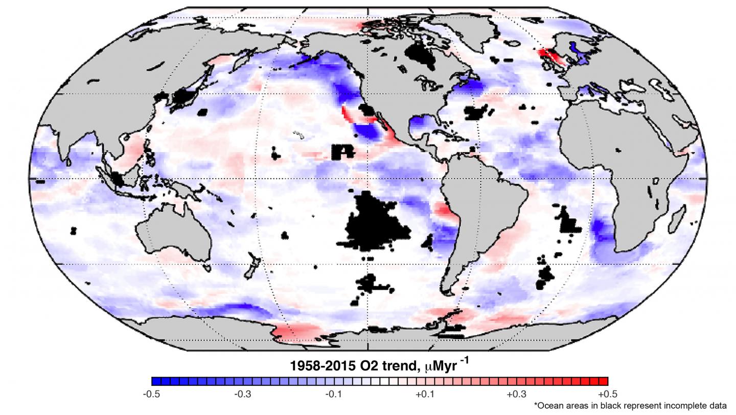 Ocean Oxygen Decline