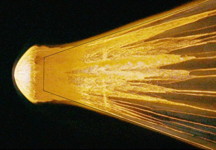 a-stony-meteorite-seti-institute-nasa-ames-zev-hoover-ron-dantowitx-dexter-southfield-schools-mars_1200