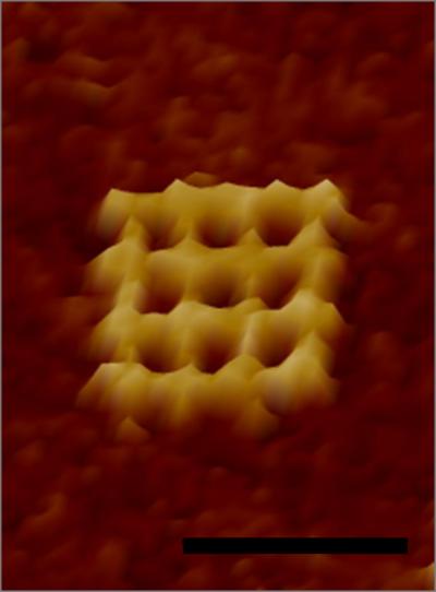 Waffle Closeup