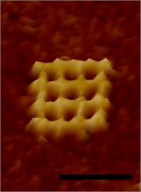 Waffle Closeup