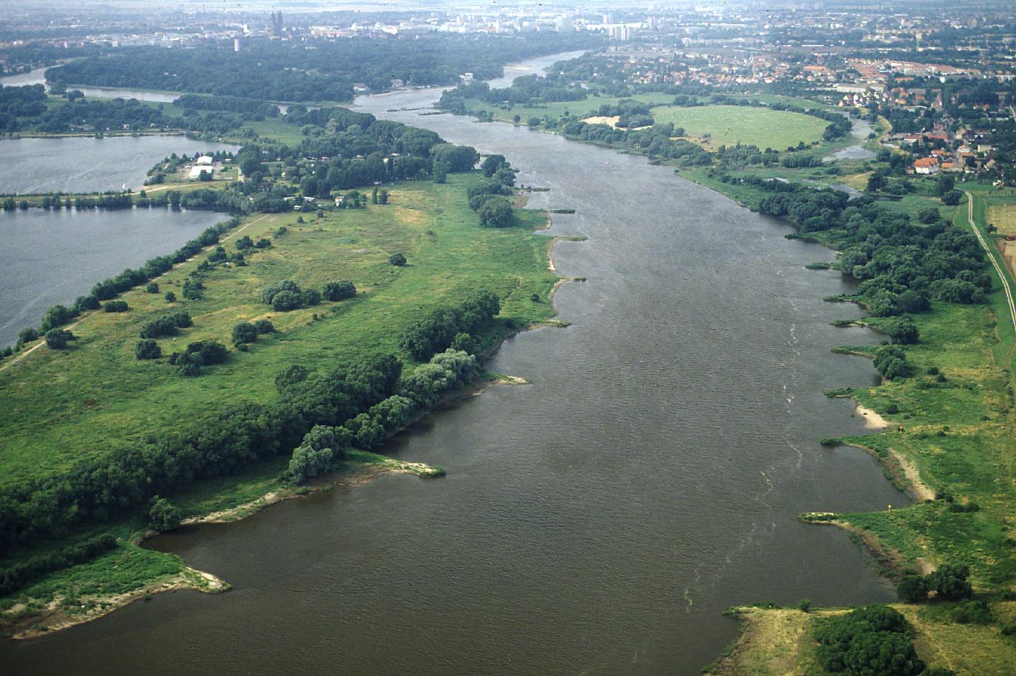 Elbe River