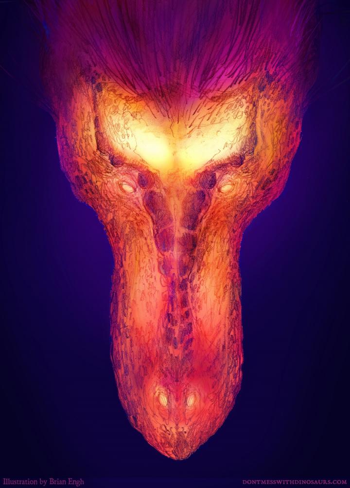 Thermal Dorsal