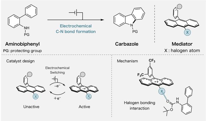 Redox-Switchable Halogen Bonding Enables Efficient Electrocatalytic C–N Bond Formation