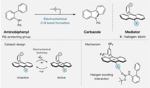 Redox-Switchable Halogen Bonding Enables Efficient Electrocatalytic C–N Bond Formation