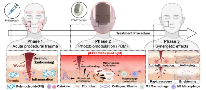 KAIST Skin-Conformable Micro-LED Mask Boosts Skin Rejuvenation, Brightening, and Synergistic Benefits with Polynucleotide (PN) Injections