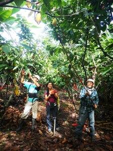Three people in a forest clearing