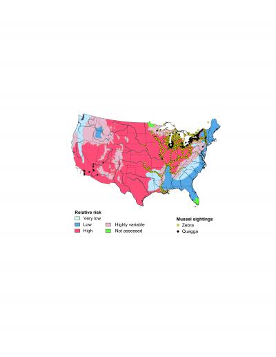 Quagga and Zebra Mussel Invasion Risk Map