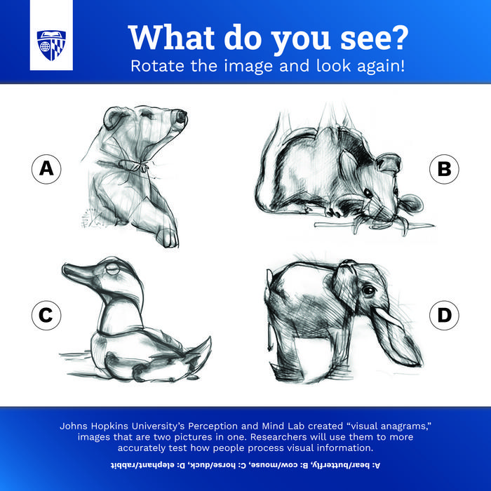 Visual anagram fun game