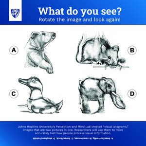 Visual anagram fun game