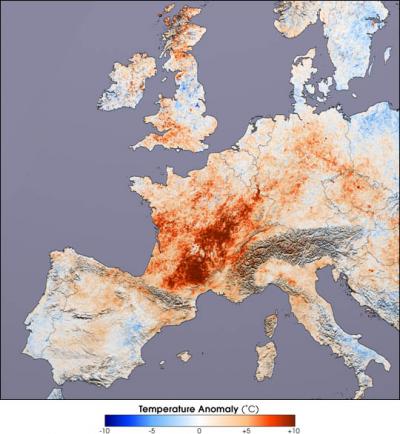 Heat Map