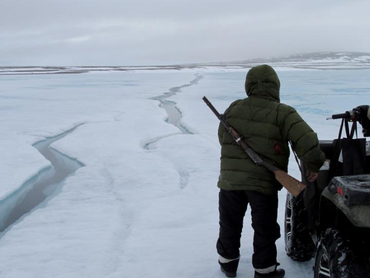 Hunter Scans Ice