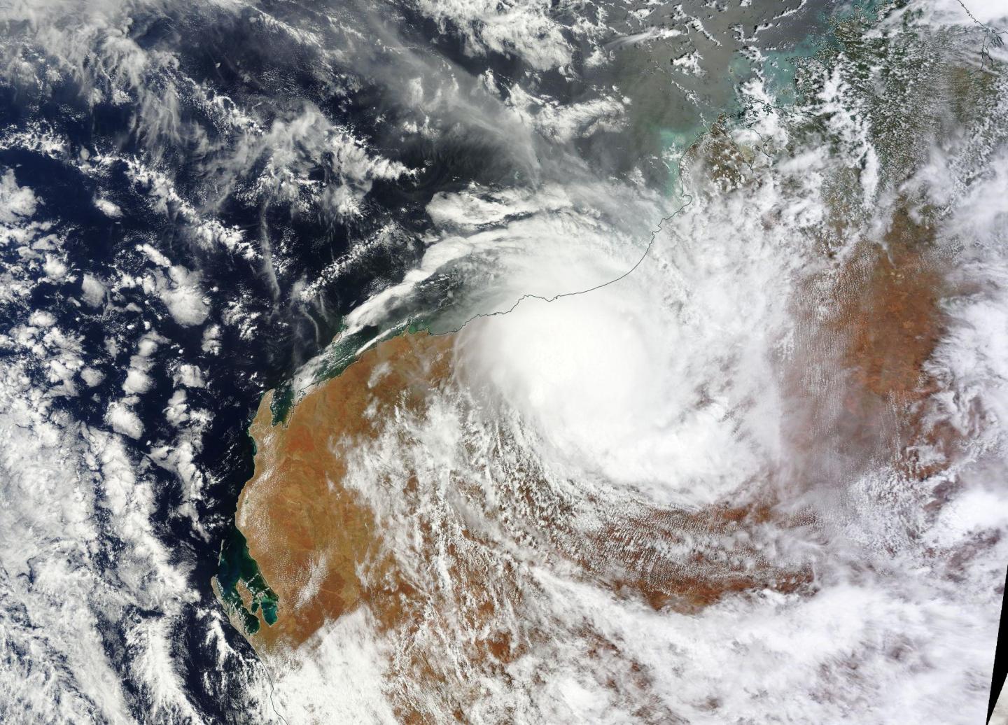 Terra Image of Stan