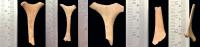 Examples of Butchery Marks on Throat Bones (Hyoids) from Harlaa