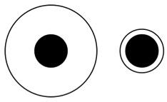 Delbouef Illusion