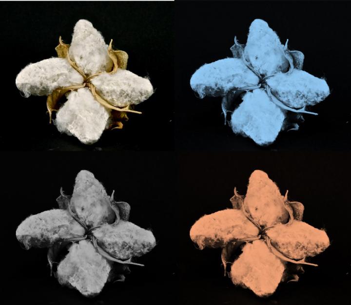 "Naturally" Glowing Cotton Yields Dazzling New Threads (6 of 9)