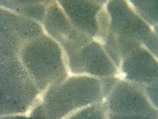 Water Caustics