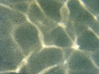 Water Caustics
