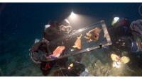 Fishes in the Decompression Chamber