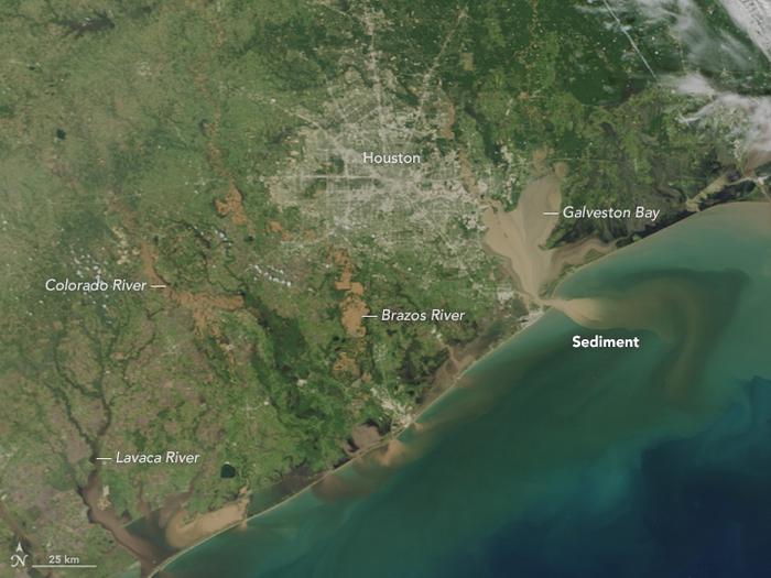 Sediment
