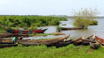 Fishing Boats