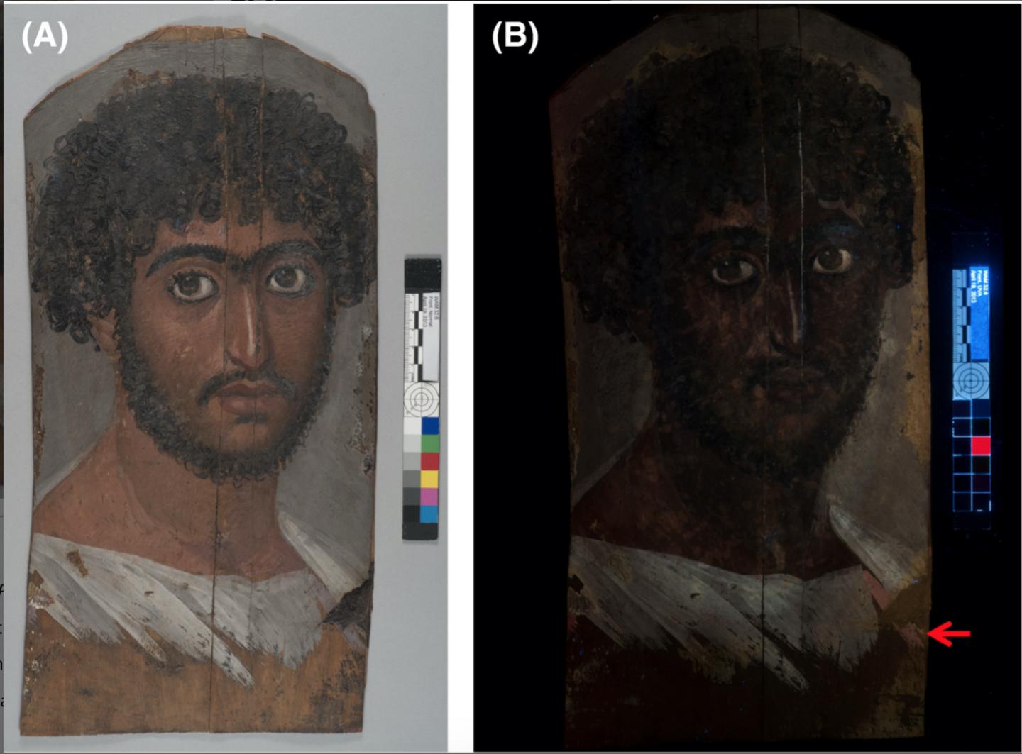Portrait of a Bearded Man