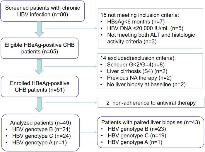 Genotype-specific Response to 144-week Entecavir Therapy for HBeAg-positive Chronic Hepatitis B with a Particular Focus on Histological Improvement