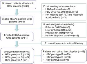 Genotype-specific Response to 144-week Entecavir Therapy for HBeAg-positive Chronic Hepatitis B with a Particular Focus on Histological Improvement