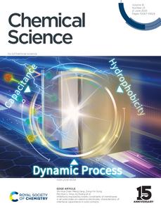 New Strategy Suggested to Boost Performance of All-Solid-State Ion-Selective Electrodes