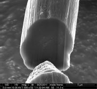 Fiber Section