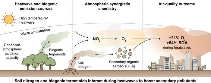 Coupled biogenic–soil emissions drive heatwave-amplified secondary pollution.