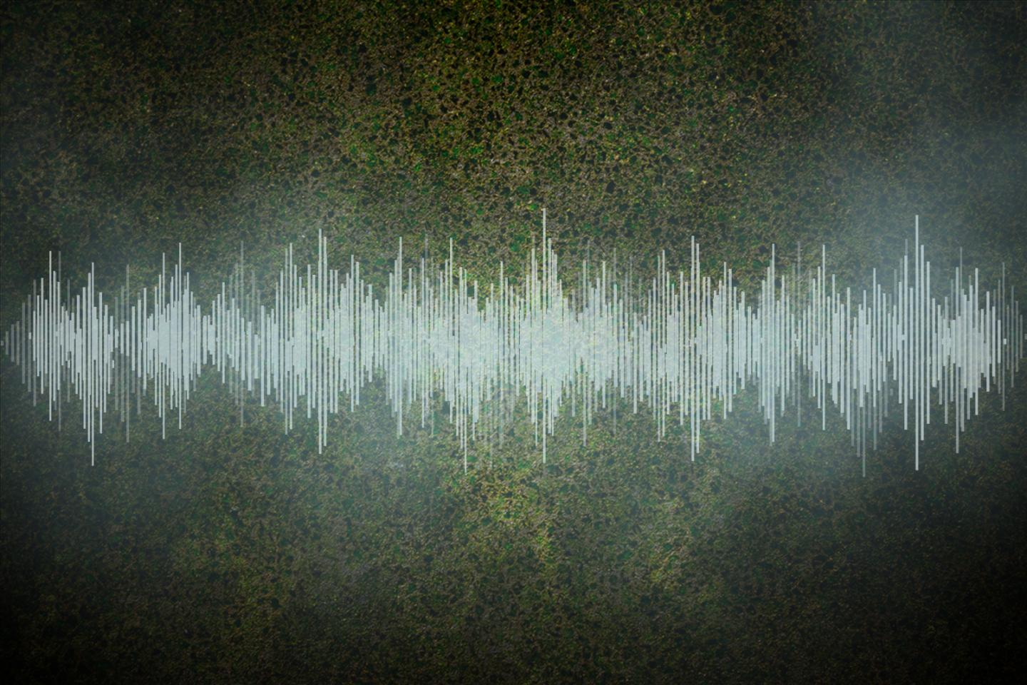 Fermion sound
