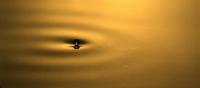 Walking Droplet
