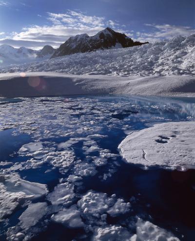 The Columbia Glacier