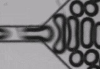 Image Shows How Bubbles Generate in a Microfluidic Device